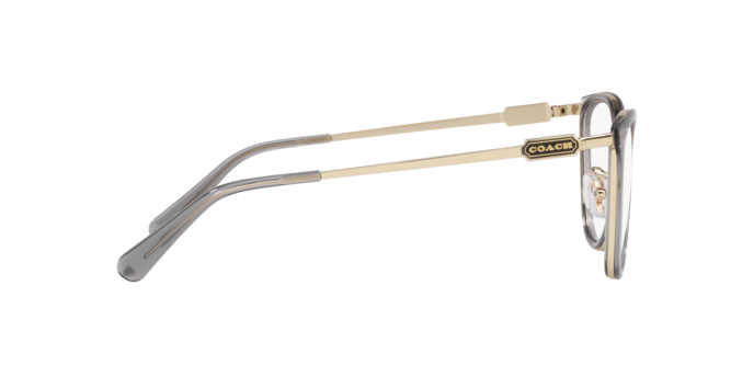 9417 - Transparent Grey / Demo Lens
