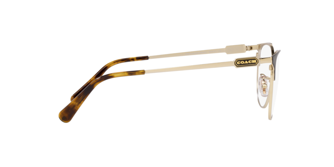 9396 - Shiny Light Gold / Black / Demo Lens