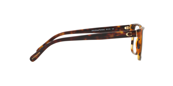 5446 - Black Tortoise Laminate / Demo Lens