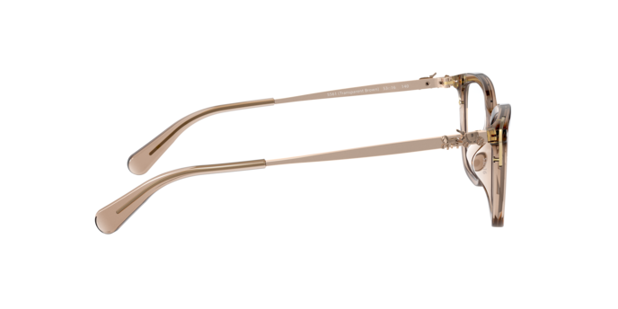5561 - Transparent Brown / Demo Lens