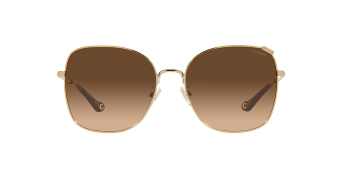 900574 - Shiny Light Gold / Dark Brown Gradient