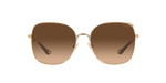 900574 - Shiny Light Gold / Dark Brown Gradient