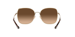900574 - Shiny Light Gold / Dark Brown Gradient