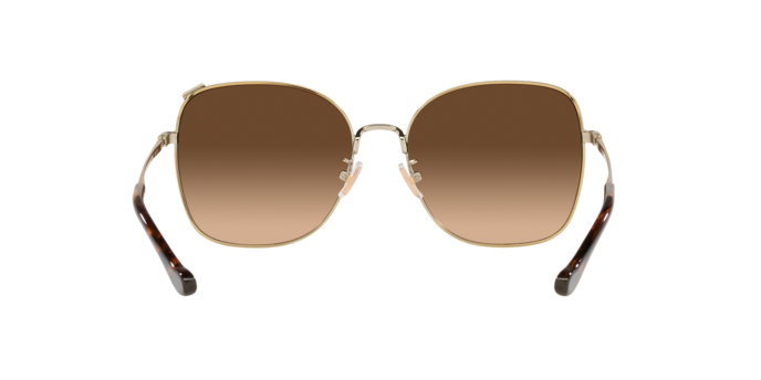 900574 - Shiny Light Gold / Dark Brown Gradient