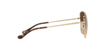 900574 - Shiny Light Gold / Dark Brown Gradient