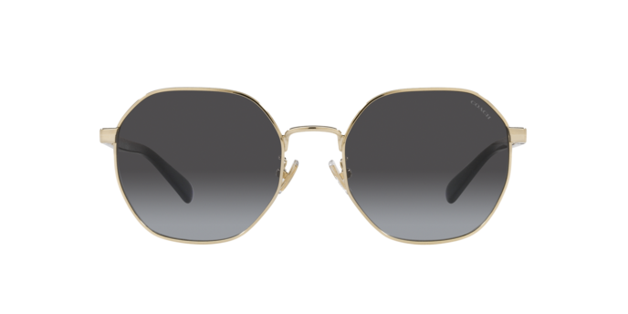 90058G - Shiny Light Gold / Grey Gradient