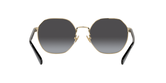 90058G - Shiny Light Gold / Grey Gradient