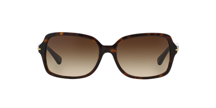 500113 - Dark Tortoise / Brown Gradient