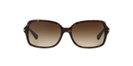 500113 - Dark Tortoise / Brown Gradient