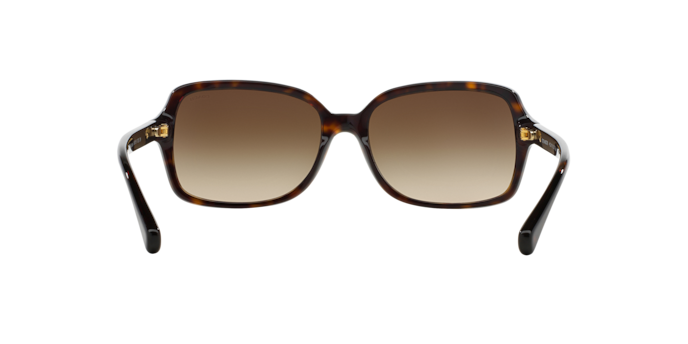 500113 - Dark Tortoise / Brown Gradient