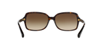 500113 - Dark Tortoise / Brown Gradient
