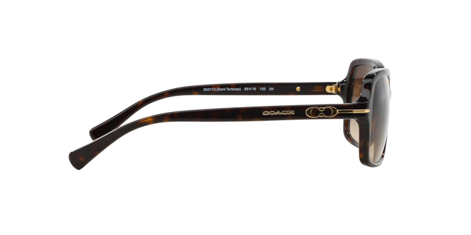 500113 - Dark Tortoise / Brown Gradient