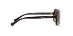 500113 - Dark Tortoise / Brown Gradient