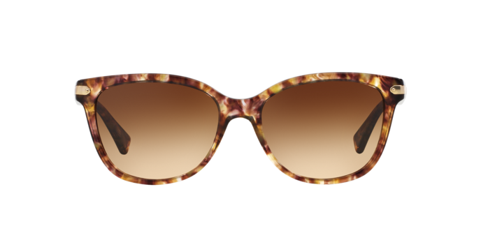 528713 - Tortoise / Brown Gradient