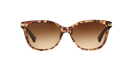 528713 - Tortoise / Brown Gradient