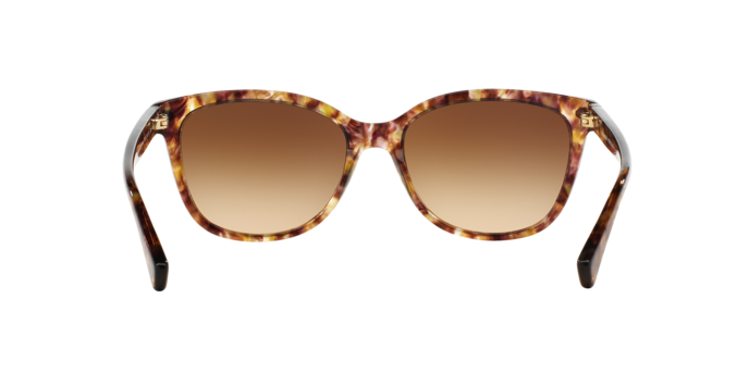 528713 - Tortoise / Brown Gradient