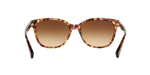 528713 - Tortoise / Brown Gradient