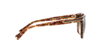 528713 - Tortoise / Brown Gradient