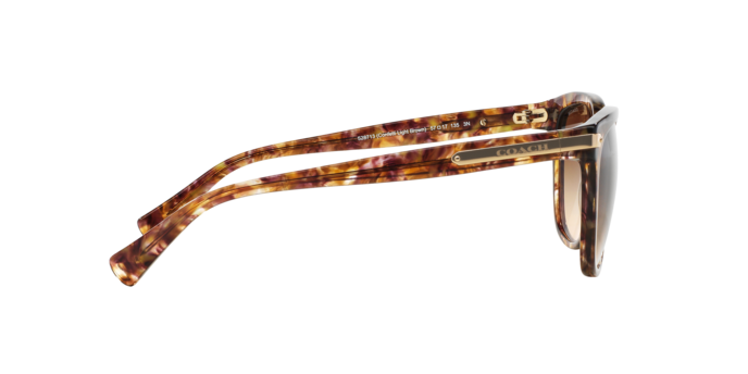 528713 - Tortoise / Brown Gradient