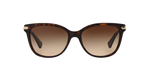 529113 - Dark Tortoise / Dark Brown Gradient
