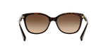 529113 - Dark Tortoise / Dark Brown Gradient