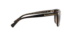 529113 - Dark Tortoise / Dark Brown Gradient