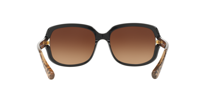 535313 - Black / Brown Gradient