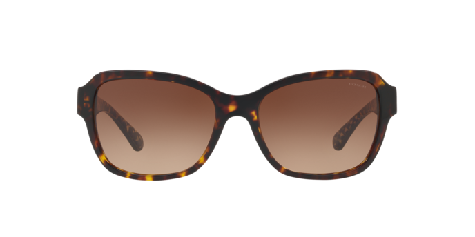550713 - Dark Tortoise / Brown Gradient