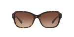 550713 - Dark Tortoise / Brown Gradient