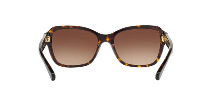 550713 - Dark Tortoise / Brown Gradient