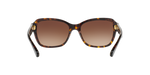 550713 - Dark Tortoise / Brown Gradient