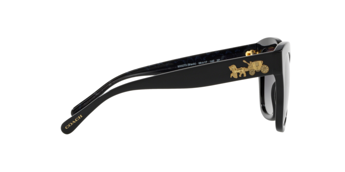 5002T3 - Black / Grey Gradient Polarized