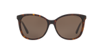512073 - Dark Tortoise / Dark Brown