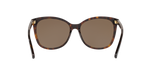 512073 - Dark Tortoise / Dark Brown