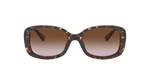 512013 - Dark Tortoise / Brown Gradient