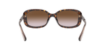 512013 - Dark Tortoise / Brown Gradient