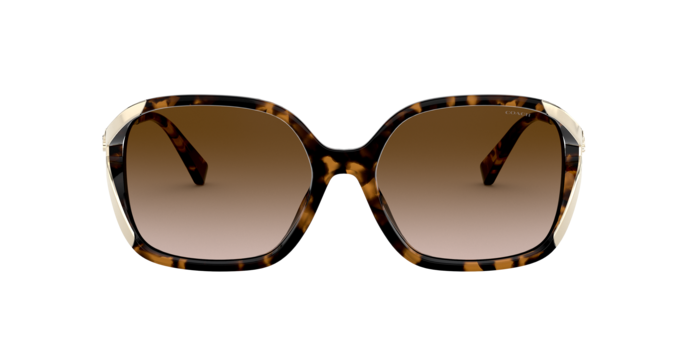 512013 - Dark Tortoise / Brown Gradient