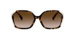 512013 - Dark Tortoise / Brown Gradient