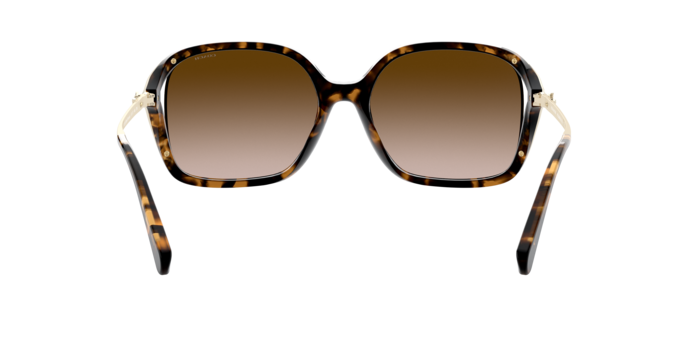 512013 - Dark Tortoise / Brown Gradient