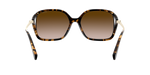 512013 - Dark Tortoise / Brown Gradient