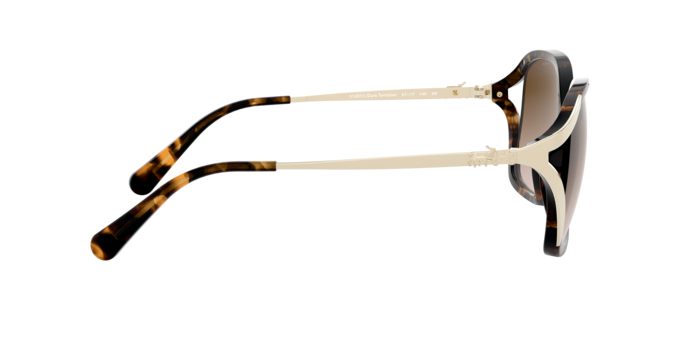512013 - Dark Tortoise / Brown Gradient