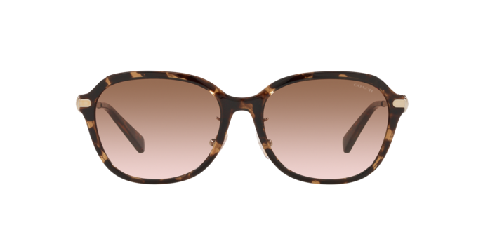 512013 - Dark Tortoise / Brown Gradient