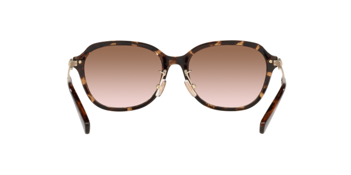 512013 - Dark Tortoise / Brown Gradient