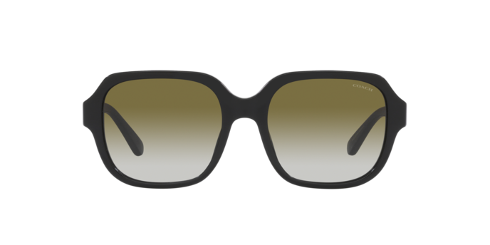 50027Z - Black / Olive Gradient
