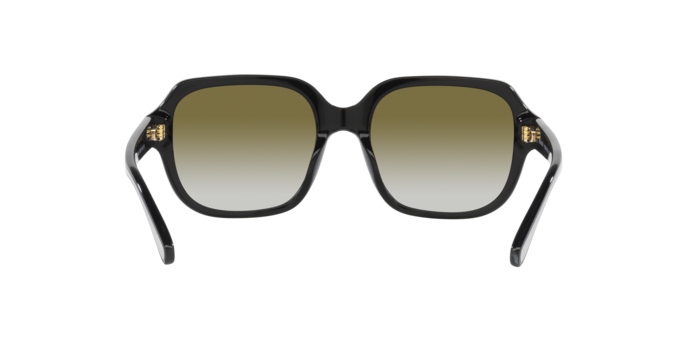 50027Z - Black / Olive Gradient