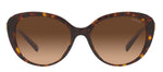 Coach 0HC8348U 512074 Cat Eye Sunglasses