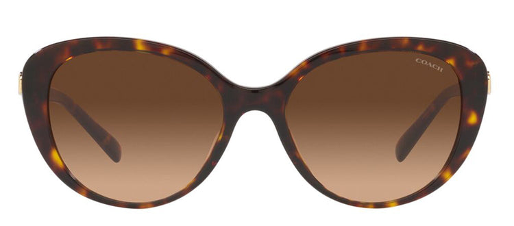 Coach 0HC8348U 512074 Cat Eye Sunglasses