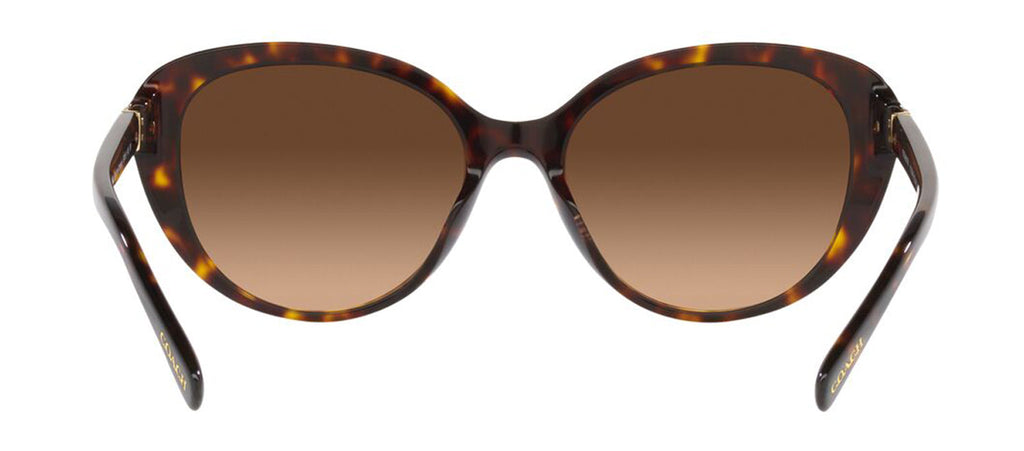 Coach 0HC8348U 512074 Cat Eye Sunglasses