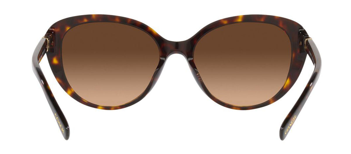 Coach 0HC8348U 512074 Cat Eye Sunglasses