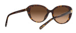 Coach 0HC8348U 512074 Cat Eye Sunglasses